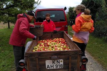 Apfelernte auf dem Weg zum Mosten